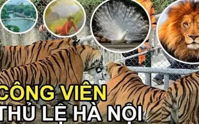 Công viên Thủ Lệ – Thiên đường vui chơi xanh giữa Hà Nội