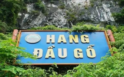 Hang Đầu Gỗ - Kỳ quan kỳ bí giữa vịnh Hạ Long xanh thẳm