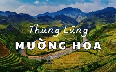 Thung lũng Mường Hoa – Vẻ đẹp hoang sơ giữa núi rừng Sapa