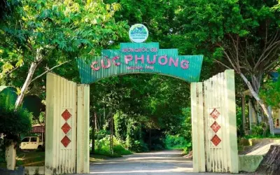 Vườn Quốc gia Cúc Phương - Điểm đến xanh hút hồn du khách