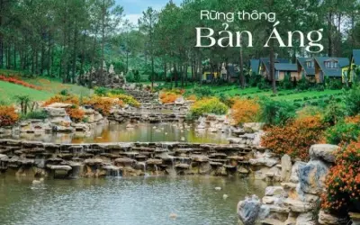 Rừng thông bản Áng – Vẻ đẹp hoang sơ giữa núi rừng Tây Bắc