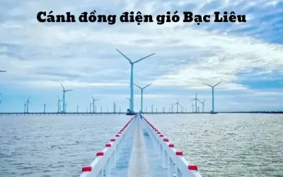 Cánh đồng điện gió Bạc Liêu - Biểu tượng năng lượng sạch