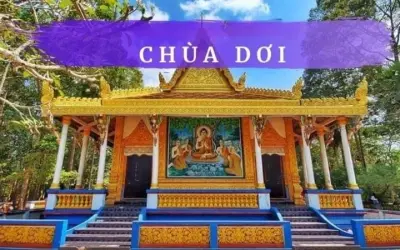 Chùa Dơi Sóc Trăng - Điểm du lịch tâm linh độc đáo miền Tây