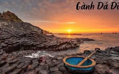 Gành Đá Đĩa - Kỳ quan thiên nhiên độc đáo của Phú Yên