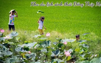 Khu du lịch sinh thái Đồng Tháp Mười vẻ đẹp miền sông nước