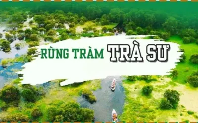 Rừng tràm Trà Sư - Địa điểm du lịch sinh thái tại An Giang