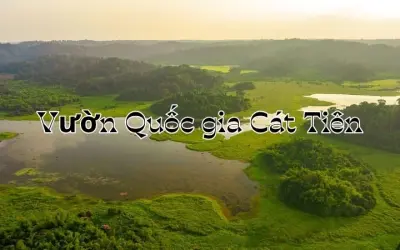 Vườn Quốc gia Cát Tiên - Trải nghiệm cảnh quan rừng già