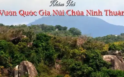 Vườn Quốc gia Núi Chúa - Kho báu thiên nhiên hoang sơ