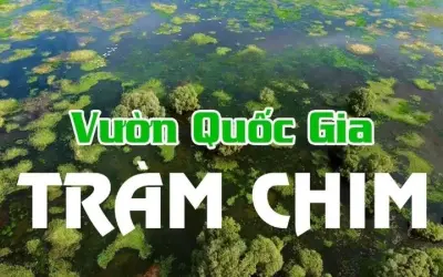 Vườn Quốc gia Tràm Chim - Trải nghiệm sinh thái rừng tràm