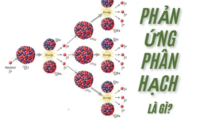 Phản ứng phân hạch hạt nhân là gì và ứng dụng ra sao