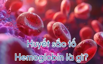 Vì sao máu người có màu đỏ? Sắc tố nào quyết định?