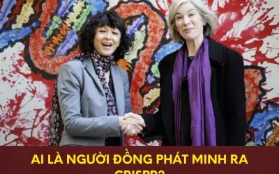 Ai là người đồng phát minh công nghệ chỉnh sửa gen CRISPR?