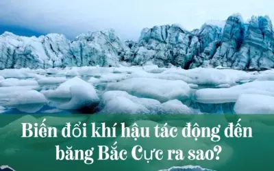Biến đổi khí hậu ảnh hưởng băng Bắc Cực như thế nào?