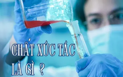 Chất xúc tác là gì? Tìm hiểu từ lý thuyết đến thực tế