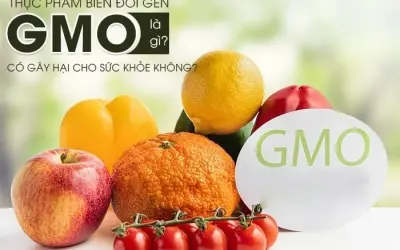 Thực phẩm biến đổi gen có thực sự an toàn cho sức khỏe?