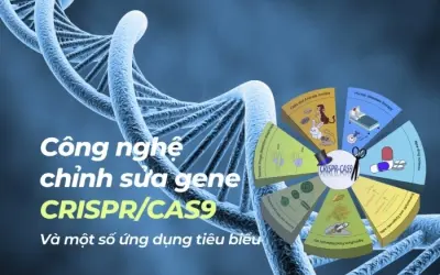 Vì sao CRISPR là công nghệ chỉnh sửa gen hàng đầu?