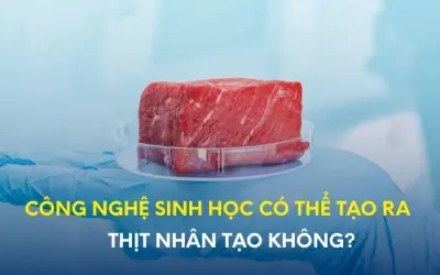 Công nghệ sinh học giúp sản xuất thịt nhân tạo ra sao?