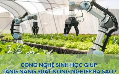 Công nghệ sinh học làm năng suất nông nghiệp tăng thế nào?