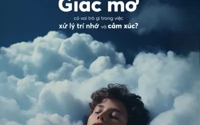 Tìm hiểu vai trò của giấc mơ với trí não con người