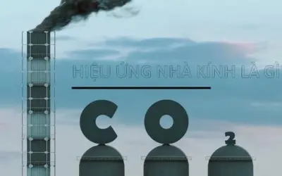 Hiệu ứng nhà kính là gì và tác động ra sao?
