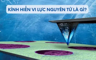 Kính hiển vi lực nguyên tử là gì và hoạt động ra sao?