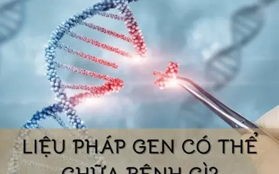 Liệu pháp gen ứng dụng trong chữa bệnh gì?
