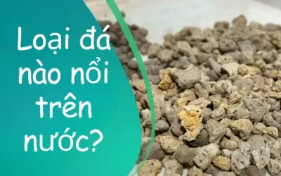 Bạn có biết loại đá nào có thể nổi trên mặt nước?