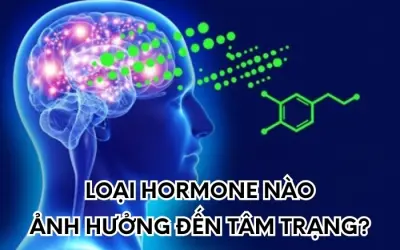 Những hormone nào ảnh hưởng lớn đến tâm trạng con người