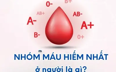 Loại máu hiếm nhất ở người là gì? Giải mã nhóm máu bí ẩn