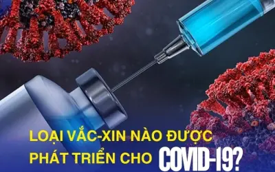 Tổng hợp các vắc-xin phòng COVID-19 phổ biến