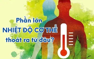 Bạn có biết phần lớn nhiệt độ cơ thể thoát ra từ đâu không?