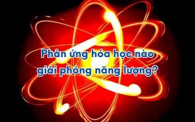 Phản ứng hóa học nào sinh nhiệt hiệu quả nhất?