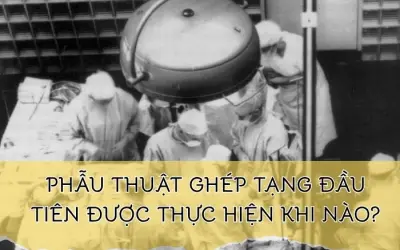 Lịch sử ghép tạng - Ca đầu tiên diễn ra khi nào?
