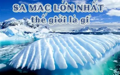 Giải mã câu hỏi - Sa mạc lớn nhất thế giới là gì?