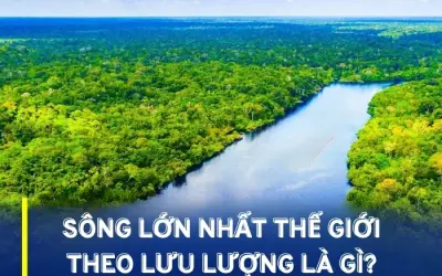 Vì sao sông Amazon có lưu lượng lớn nhất thế giới?