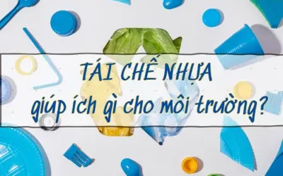 Tái chế nhựa giúp ích gì cho môi trường? Lợi ích không ngờ!