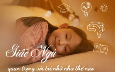 Giấc ngủ có vai trò gì đối với trí nhớ của bạn?