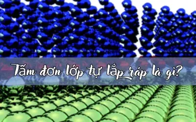 Tấm đơn lớp tự lắp ráp là gì và ứng dụng ra sao?