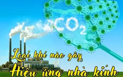 Khí gây hiệu ứng nhà kính có từ đâu và tác hại gì?