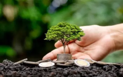 Năng lượng tái tạo chưa thay thế nhiên liệu hóa thạch?