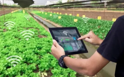 Công nghệ cảm biến và bước tiến đột phá trong đời sống