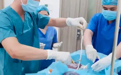 Công nghệ cấy ghép hiện đại mở ra kỷ nguyên y học mới