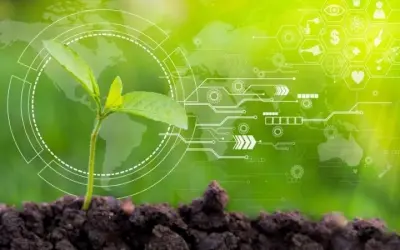 Công nghệ nào giúp giảm khí thải carbon hiệu quả nhất?