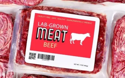 Công nghệ nào giúp tạo ra thịt nhân tạo bền vững hiện nay?