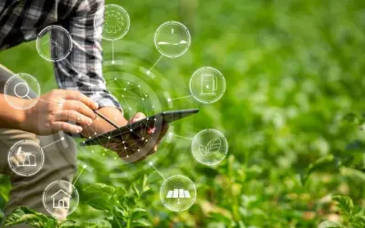Công nghệ AgriTech nông nghiệp mở ra hướng mới cho Việt Nam