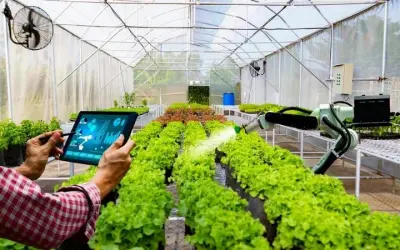Công nghệ nông nghiệp Việt Nam thay đổi sản xuất ra sao