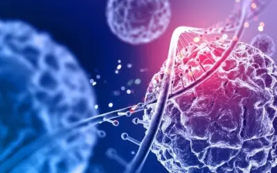 Công nghệ sinh học có thể tái tạo cơ thể người không?