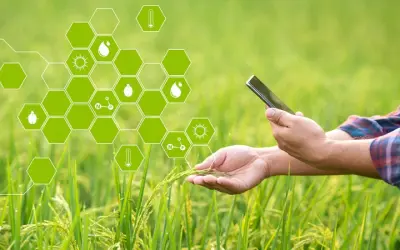 Công nghệ VR trong nông nghiệp mở ra hướng đi hiện đại