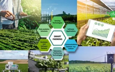 Tại sao công nghệ xanh Việt Nam là lựa chọn bền vững hôm nay