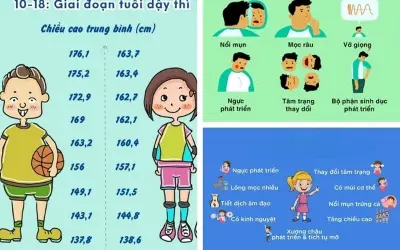 Dấu hiệu sinh học nào thể hiện rõ tuổi dậy thì?